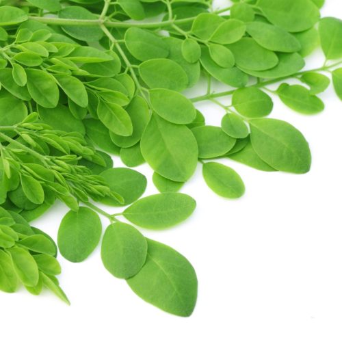 Organic Moringa Leaf Powder